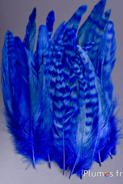 Coq fouet chinchilla blanchi - 13-18 cm - bleu brun